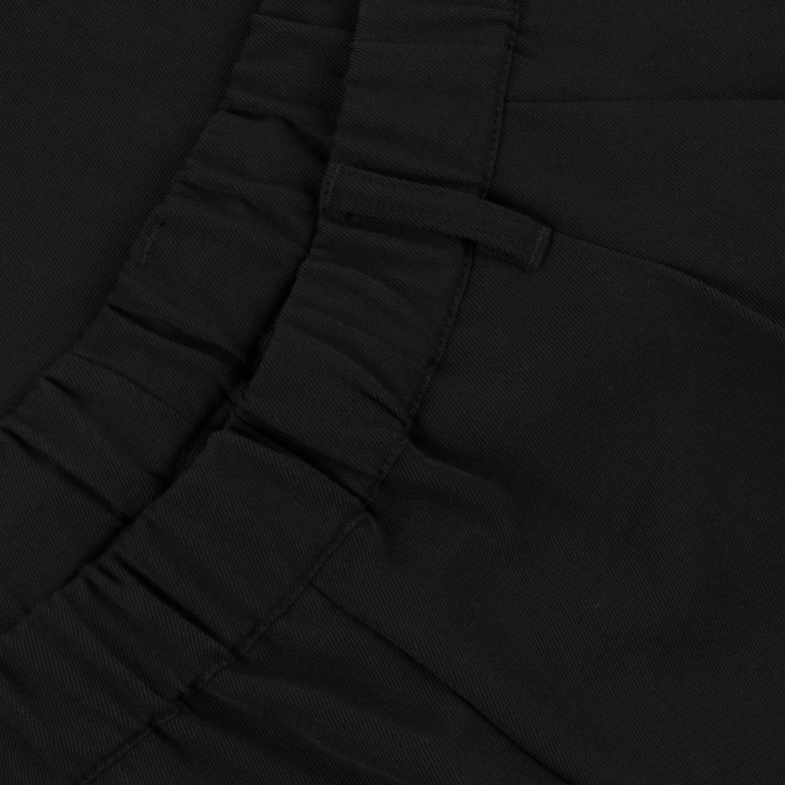 Pleated Twill Pants